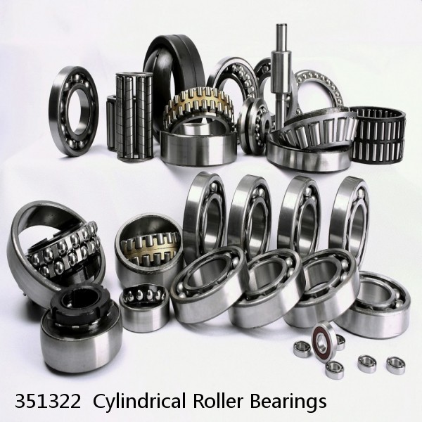 351322  Cylindrical Roller Bearings #1 small image