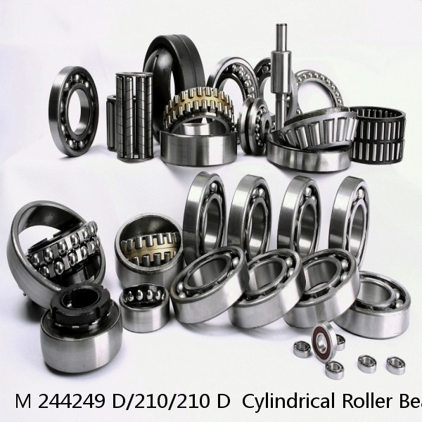 M 244249 D/210/210 D  Cylindrical Roller Bearings #1 small image