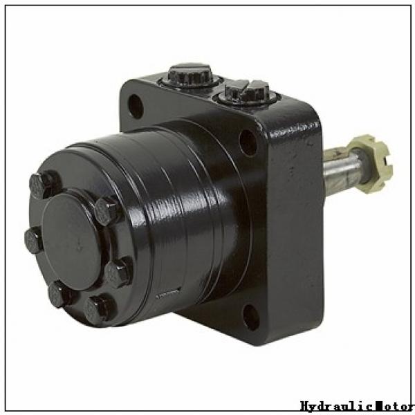 BMR100 OMR100 BMR/OMR 100cc 600rpm 600 rpm grader pump CE Orbital Hydraulic Motor #2 image