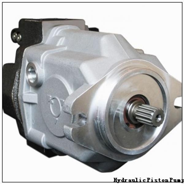 Hawe V30D of V30D-45,V30D-75,V30D-95,V30D-115,V30D-140,V30D-160,V30D-250 axial piston variable pumps #2 image